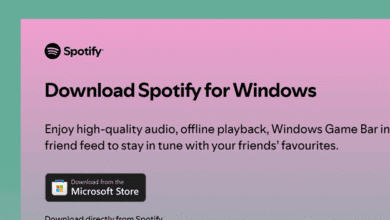 Spotify Insights: Understanding Your Audience Through Stats
