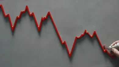 Indian Stock Market Recovers After Recent Plunge