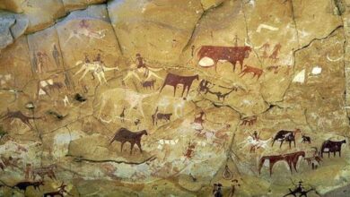 Sahara's Secrets: Ancient DNA Reveals Verdant Past