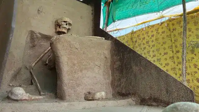 Ancient Indian Skeleton Remains Unhoused as Search for Permanent Location Continues