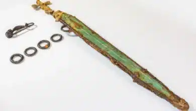 Ancient Swords Featuring Swastika Symbol Unearthed