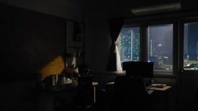 Bengaluru Remote Worker Sparks Outrage with Whiny Woes