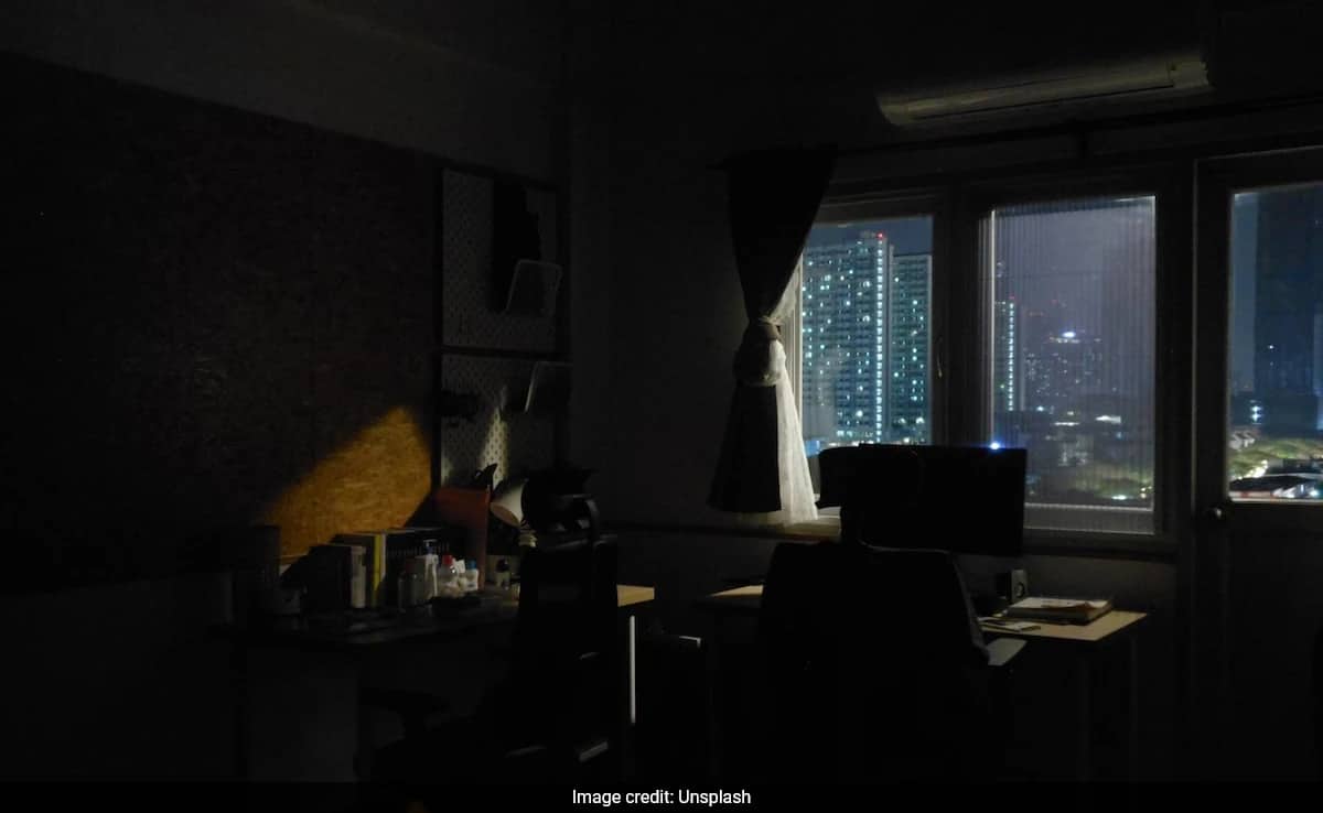 Bengaluru Remote Worker Sparks Outrage with Whiny Woes