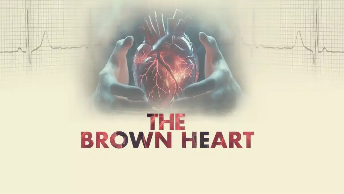 Brown Heart OTT Launch: Streaming Details and Availability