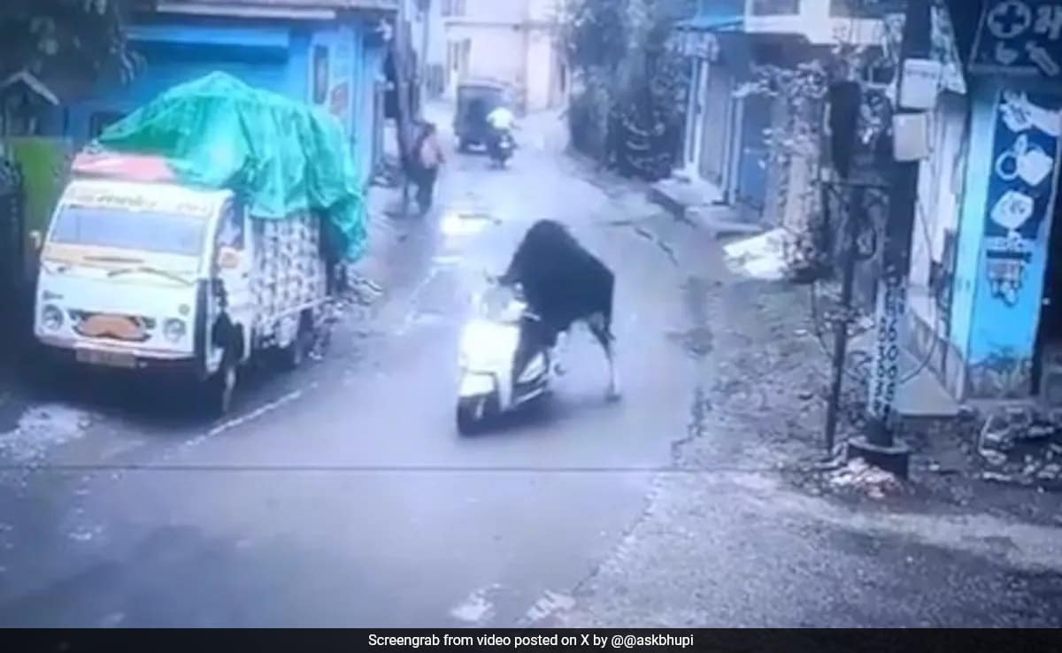 Bull Goes for a Joyride on a Scooter in Rishikesh, Leaving the Internet in Stitches!
