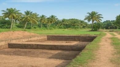 Clarification on Media Reports Concerning Keeladi Excavation Report