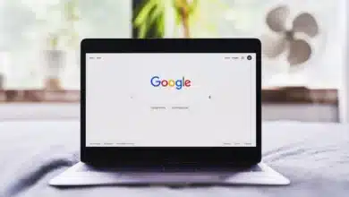 Google May Leverage Content for Search AI Training Regardless