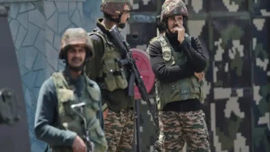 India-Pakistan Ceasefire: Implications of India's Punitive Measures