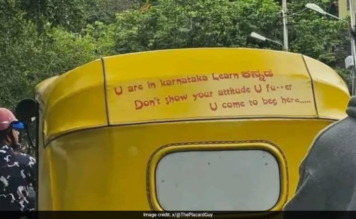 Influencer's Hilarious Response to Karnataka Auto Driver's Unexpected Message!