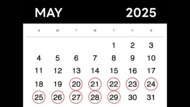 May 2025's Quirky Palindrome Dates Set the Internet Abuzz!