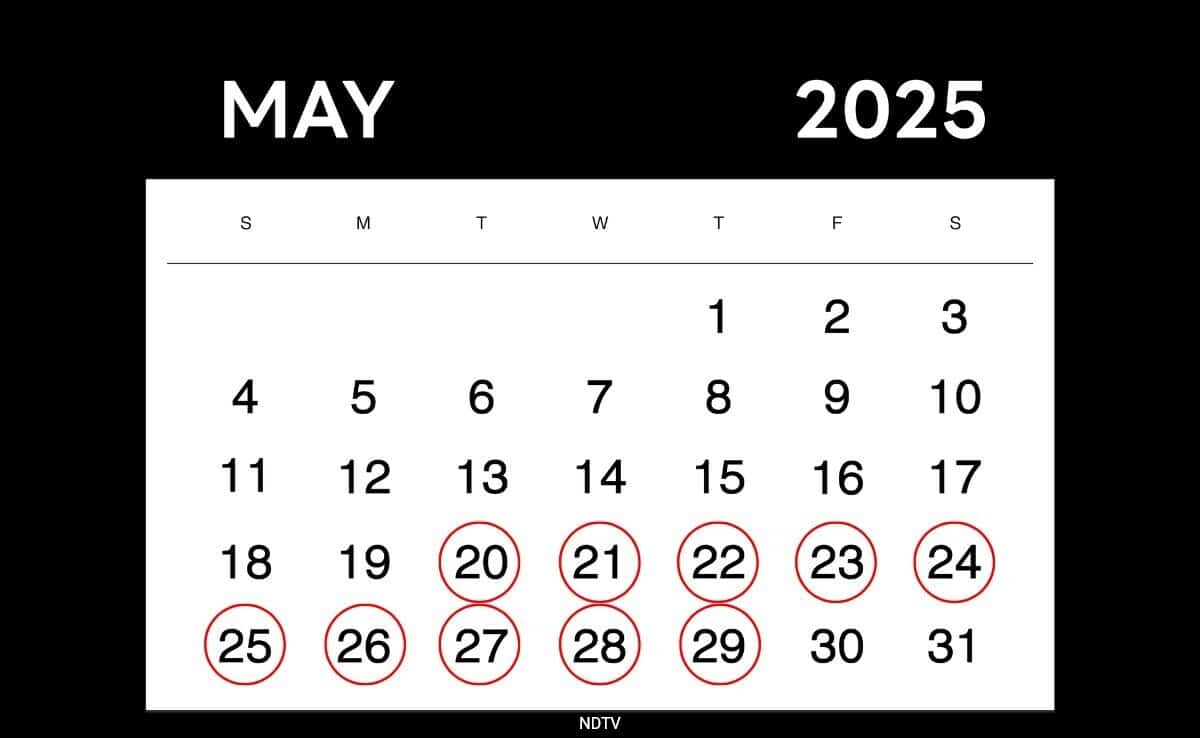 May 2025's Quirky Palindrome Dates Set the Internet Abuzz!