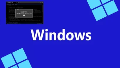 Microsoft Launches Edit: Open-Source Command Line Text Tool