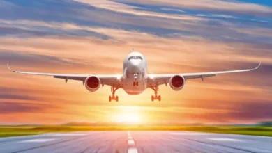Naidu Urges Airlines to Resume Normal Operations Starting May 15