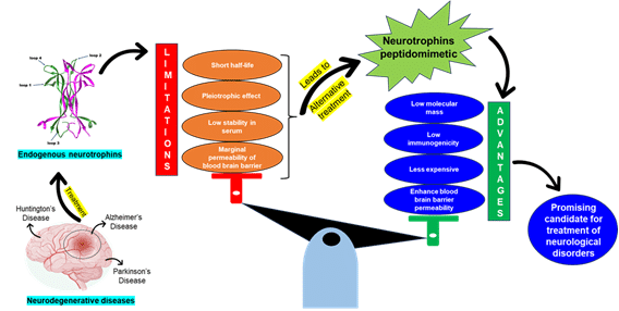 Neurotrophin Peptidomimetic Drugs Show Potential for Neurodegenerative Treatment