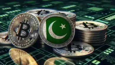 Pakistan's Cryptocurrency Initiative Faces Major Setback