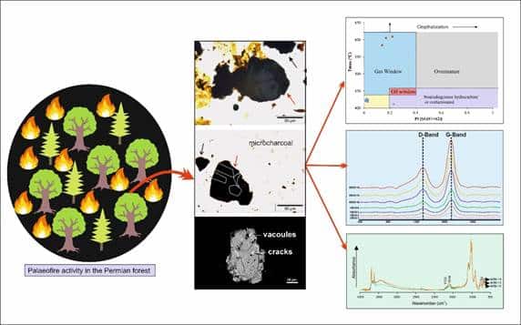 Research Explores Fire History in Permian India