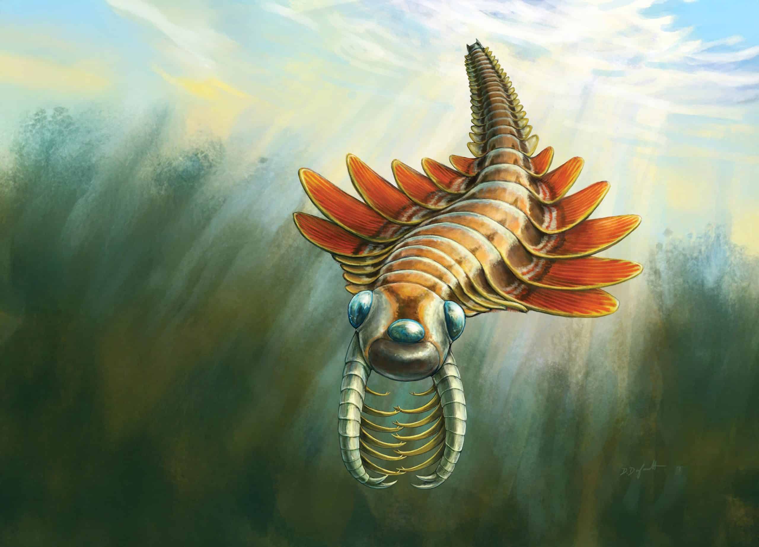 Scientists Uncover Three-Eyed Sea Moth from 500 Million Years Ago