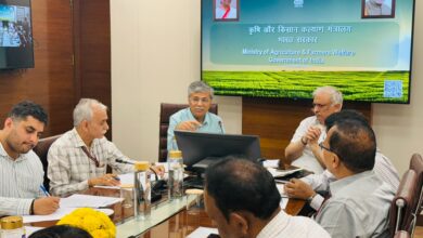 Stakeholder Consultation in the Medicinal Plant Sector