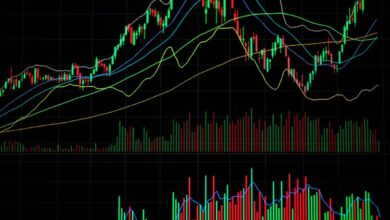 Essential Stock Picks for Today: Recommendations for May 30