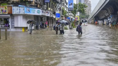 Summer Rain Boosts Rural Sales While Impacting Urban Markets