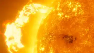 Sun Releases 600,000-Mile Plasma Filament in Solar Eruption