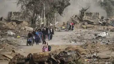 UN Palestinian Rights Committee Reports on Two Months Under Siege