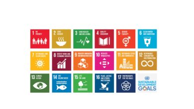 United Nations Development Initiatives Support National Objectives