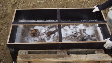 1,350-Year-Old Burial Uncovers ‘Ice Prince’ Toddler Discovery