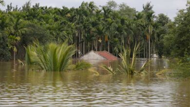 Annual Monsoon Deluge: The Devastating Impact of Heavy Rains on India's Urban Centers