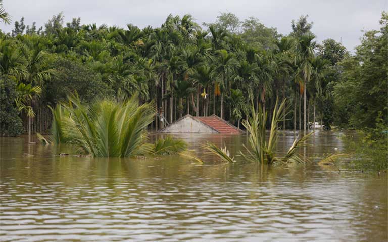 Annual Monsoon Deluge: The Devastating Impact of Heavy Rains on India's Urban Centers