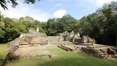 Archaeologists Uncover Three Hidden Maya Cities
