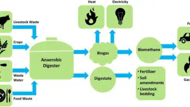 Centre Updates Waste-to-Energy Guidelines to Enhance Bioenergy Initiatives