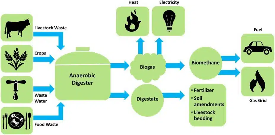 Centre Updates Waste-to-Energy Guidelines to Enhance Bioenergy Initiatives