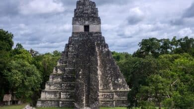 Genetic Research Uncovers Causes Behind Maya Civilization's Collapse