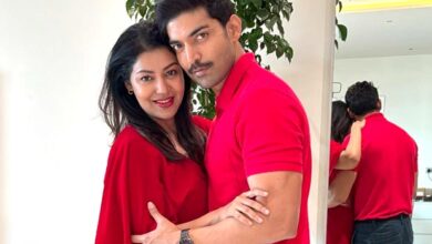 Gurmeet Choudhary and Debina Bonnerjee Expose Home Theft Incident