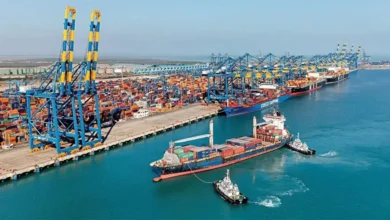 Impact of India's Ban on Pakistan-Origin Cargo at Ports