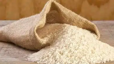 Impact of Iran-Israel Conflict on Rice Exporters: Focus on India's Basmati