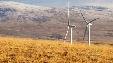 India Emerges as a Leader in Wind Energy as Part of Atma Nirbhar Bharat Initiative