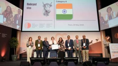 India Joins Elite Global Group for Rinderpest Virus ‘Cattle Plague’ Containment;