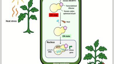 Introduction of New CRISPR Technology