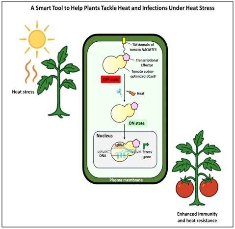Introduction of New CRISPR Technology
