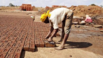 Labour Welfare Schemes Provide Support to Over 50 Lakh Unorganised Workers