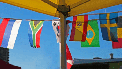 Flags of Latin America: History and Fun Facts