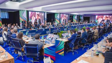 Nice Conference Adopts Declaration Emphasizing Importance