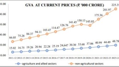 Publication Released: “Statistical Report on Value of Output from Agriculture”
