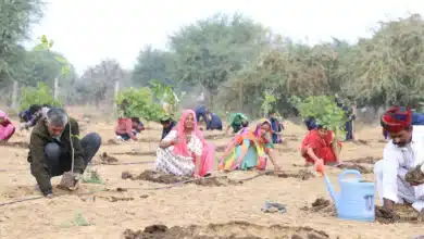 Rashtriya Ayurveda Vidyapeeth Conducts Tree Plantation Drive for World Environment Day