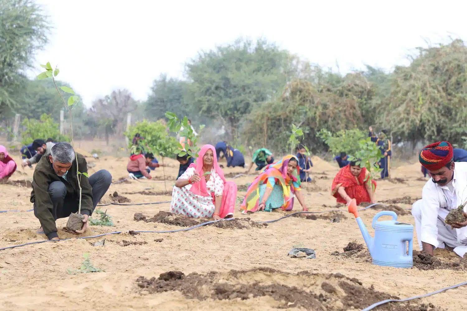 Rashtriya Ayurveda Vidyapeeth Conducts Tree Plantation Drive for World Environment Day