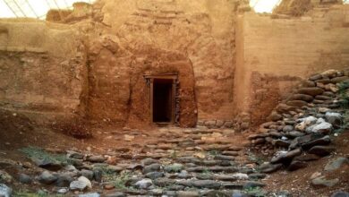 Tel Dan Temple Uncovers Centuries-Old Phoenician Artifacts