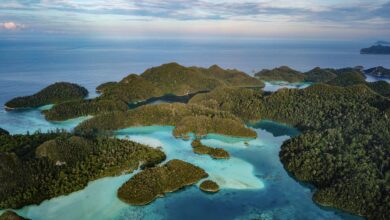 The Electric Vehicle Race: A Looming Threat to Marine Ecosystems