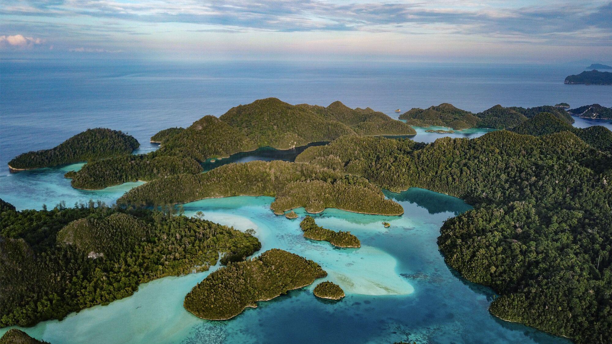 The Electric Vehicle Race: A Looming Threat to Marine Ecosystems